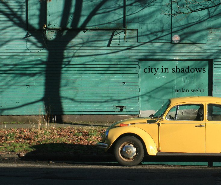 View city in shadows by nolan webb
