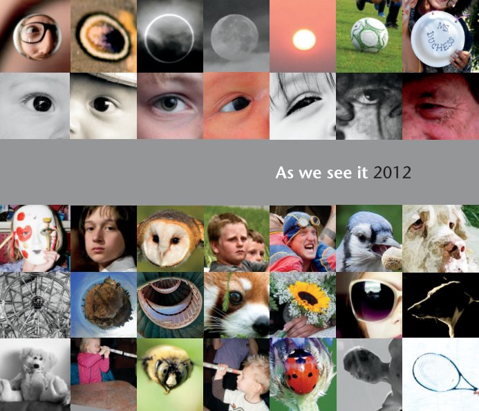 View As we see it 2012 (softcover) by The Global Camel Committee