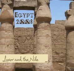 Egypt 2008 book cover