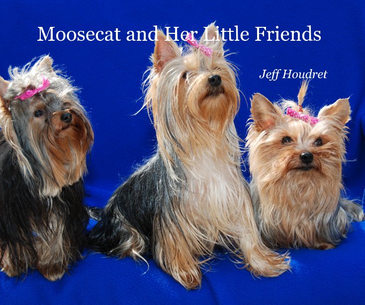 Bekijk Moosecat and Her Little Friends op Jeff Houdret