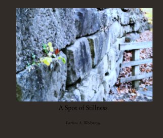 A Spot of Stillness book cover