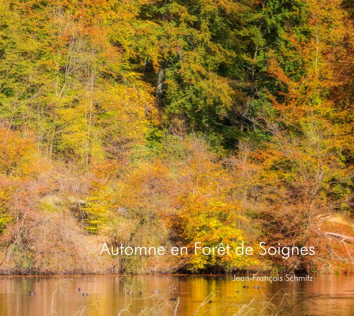 Visualizza Automne et Forêt de Soignes - Edition de Luxe Proline di Jean-François Schmitz