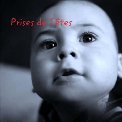 Prises de Têtes book cover