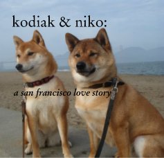 kodiak & niko: book cover