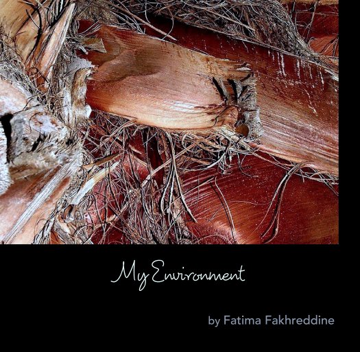 Visualizza My Environment di Fatima Fakhreddine