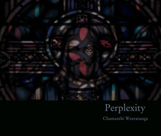 Perplexity book cover