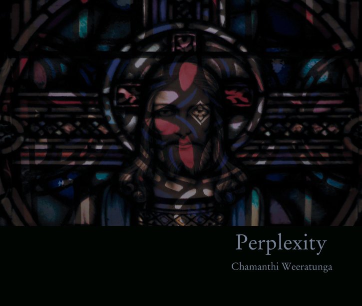 View Perplexity by Chamanthi Weeratunga