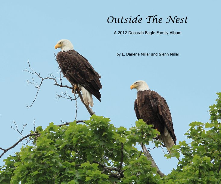 View Outside The Nest by L. Darlene and Glenn Miller