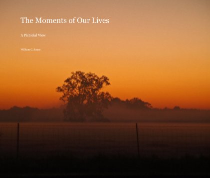 The Moments of Our Lives A Pictorial View book cover