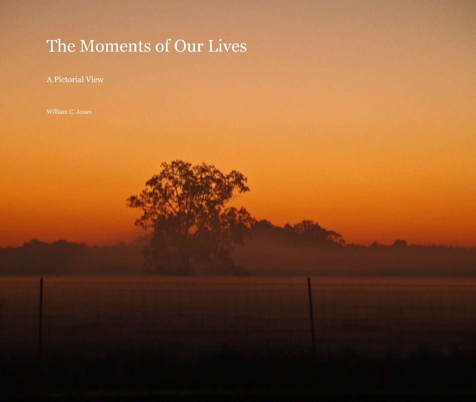 View The Moments of Our Lives A Pictorial View by William C. Jones