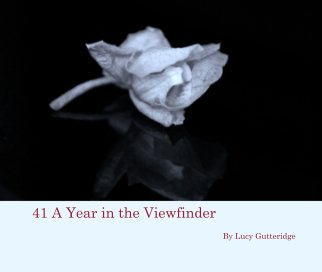 41 A Year in the Viewfinder book cover