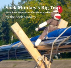 Sock Monkey's Big Trip book cover