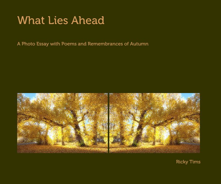 View What Lies Ahead by Ricky Tims