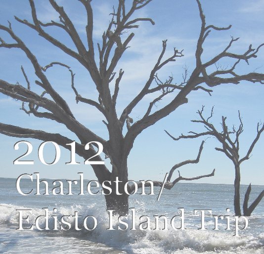Visualizza 2012 Charleston/Edisto Island Trip di Matthew E. Draughn