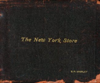 The New York Store book cover
