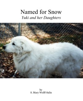 Named for Snow book cover