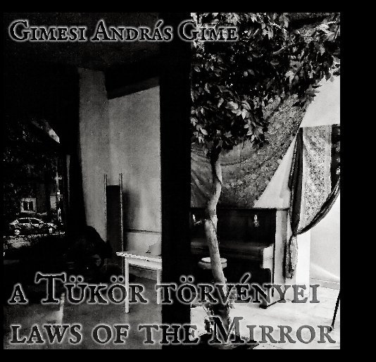 Ver a Tükör törvényei // laws of the Mirror por Gimesi András Gime