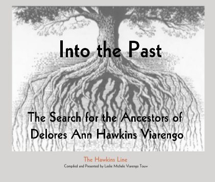 Into the Past - The Search for the Ancestors of Delores Ann Hawkins Viarengo book cover