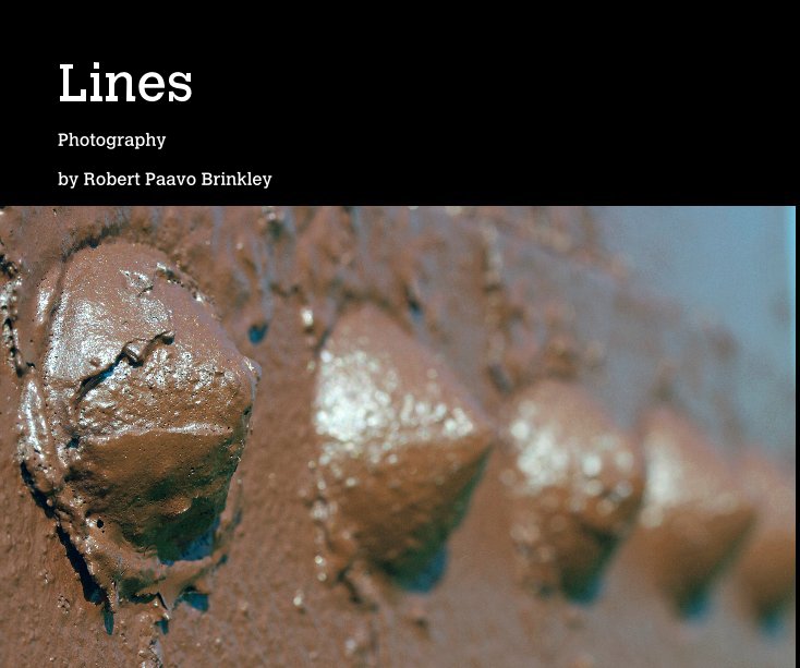 View Lines by Robert Paavo Brinkley