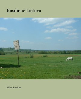 Kasdienė Lietuva book cover