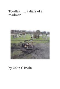 Toodles....... a diary of a madman book cover
