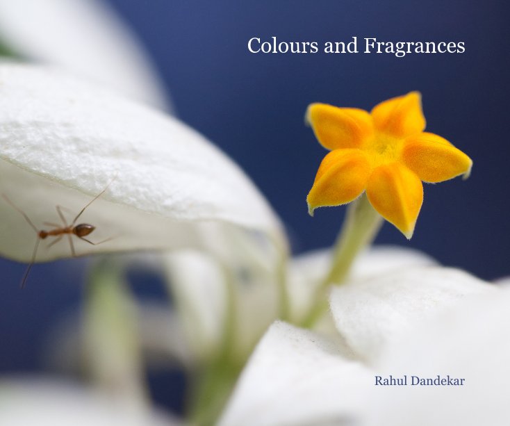 View Colours and Fragrances by Rahul Dandekar