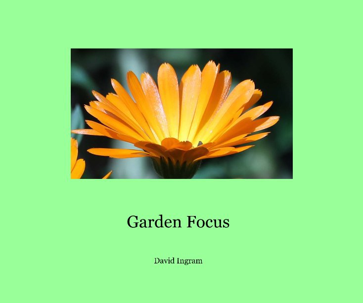 View Garden Focus by David Ingram