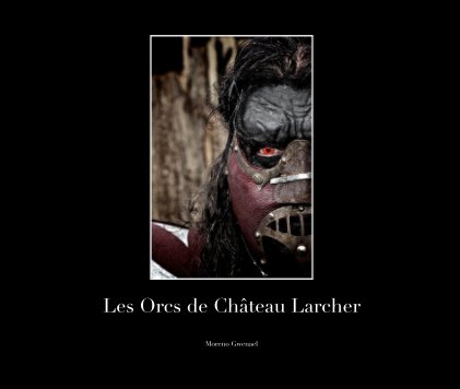 Les Orcs de Château Larcher book cover