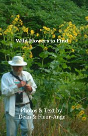 Wild Flowers to Find book cover