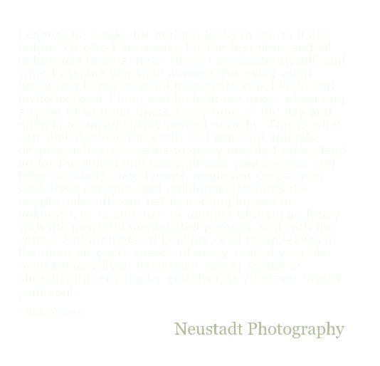 View Neustadt Photography by Tessa Neustadt