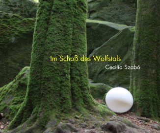 Im Schoß des Wolfstals book cover