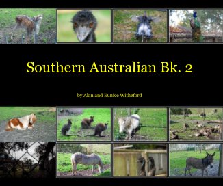 Southern Australian Bk. 2 book cover