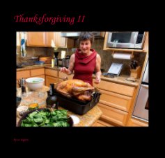 Thanksforgiving II book cover