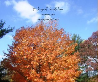 30 Days of Thankfulness book cover