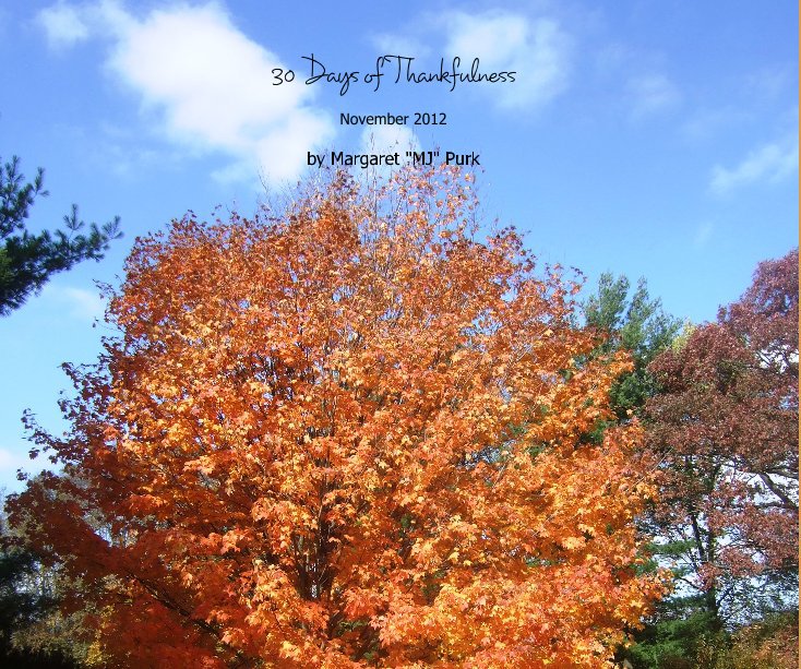 View 30 Days of Thankfulness by Margaret "MJ" Purk