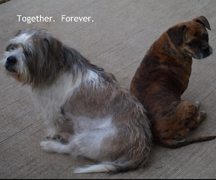 Ver Together. Forever. por belinda1204