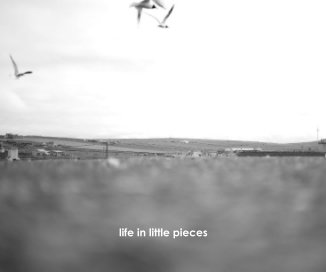 life in little pieces book cover