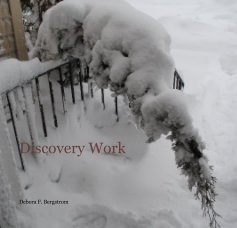 Discovery Work book cover