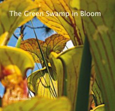The Green Swamp in Bloom book cover