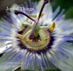 Joyful Things book cover