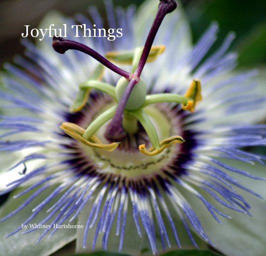View Joyful Things by Whitney Hartshorne