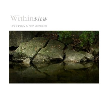 Withinview book cover