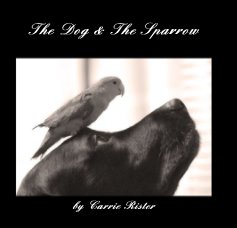 The Dog & The Sparrow book cover