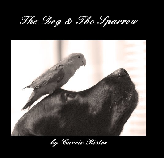 View The Dog & The Sparrow by Carrie Rister
