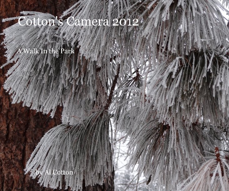 View Cotton's Camera 2012 by Al Cotton