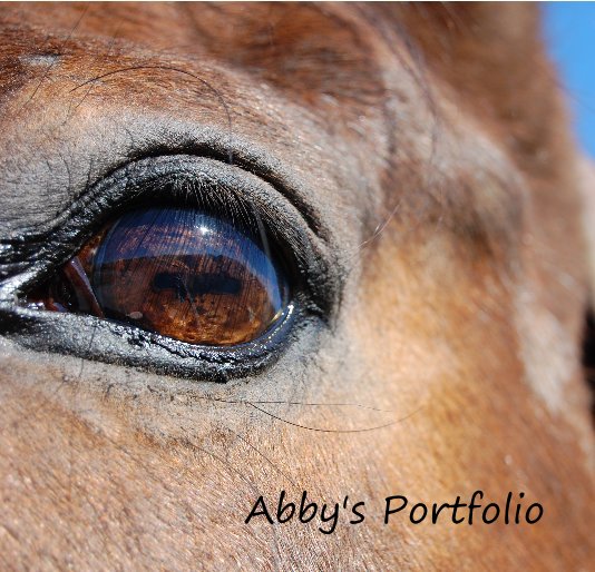 View Abby's Portfolio by Abby Greenstein