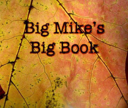 Big Mike's Big Book book cover