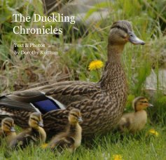 The Duckling Chronicles book cover