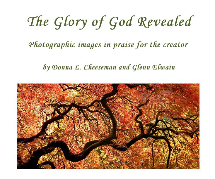 View The Glory of God Revealed by Donna L. Cheeseman and Glenn Elwain