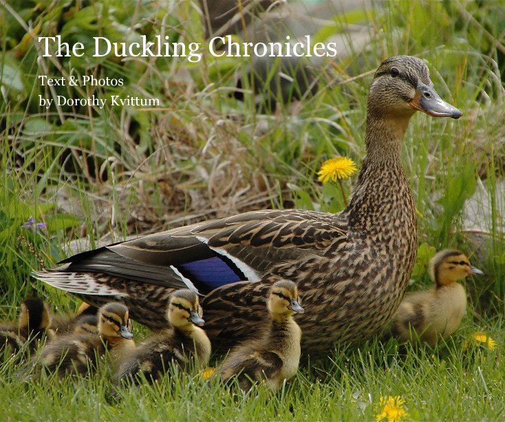 View The Duckling Chronicles; Deluxe version by Dorothy Kvittum
